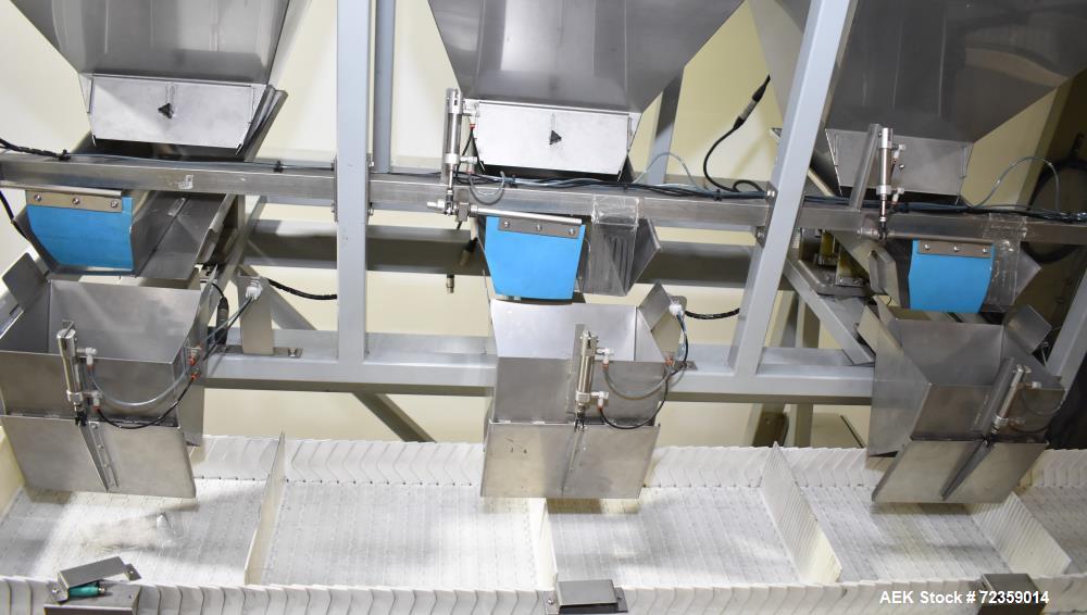 Actionpac B300/MC Multihead Weigher Mixing Line